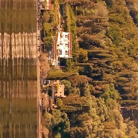 Aliki Studios Букари Екстериор снимка